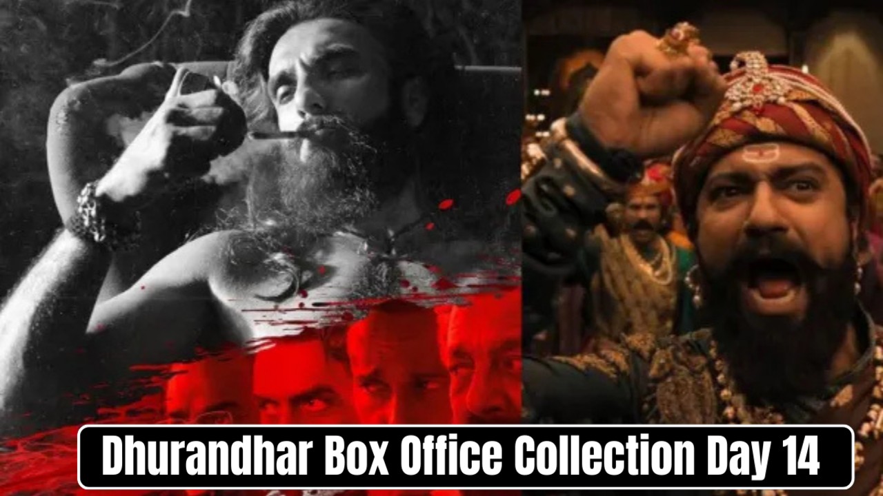 Dhurandhar Box Office Collection Day