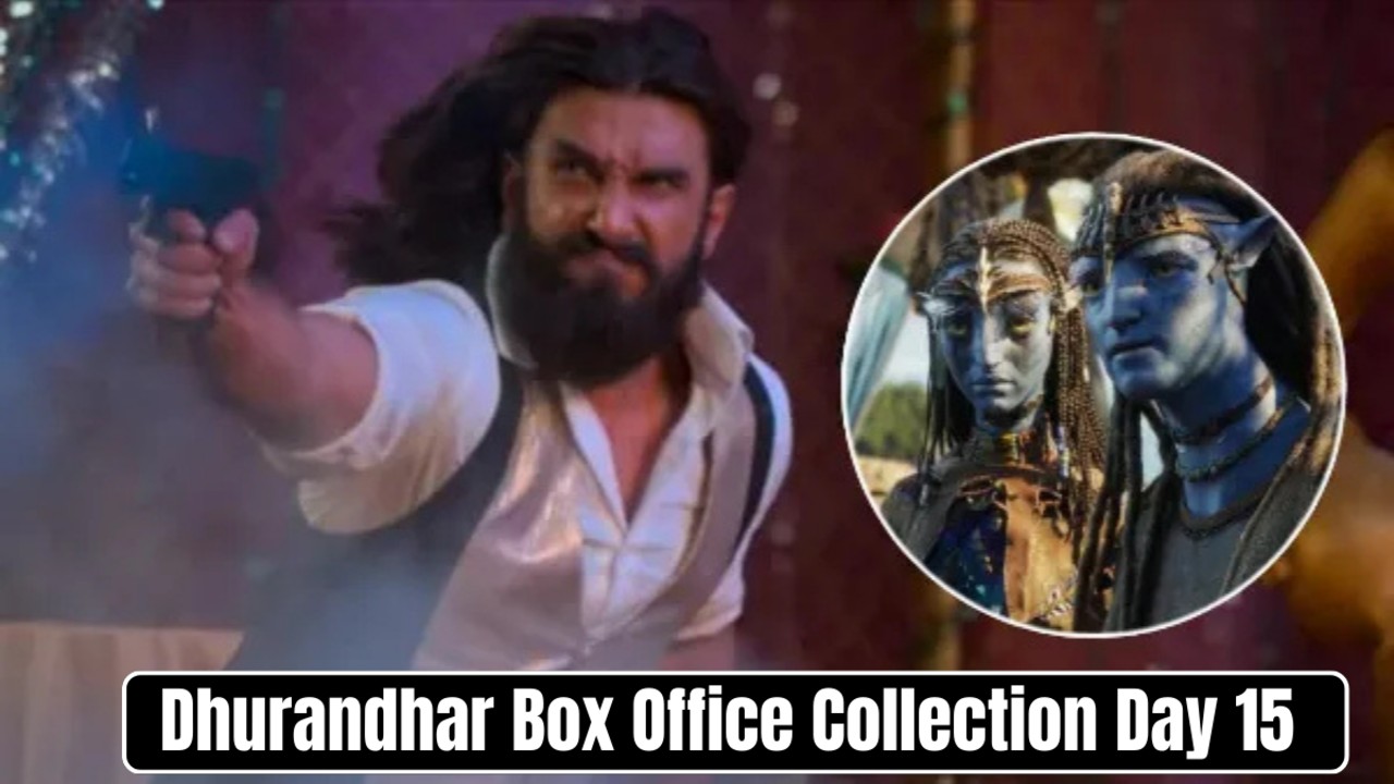 Dhurandhar Box Office Collection Day 15 Early