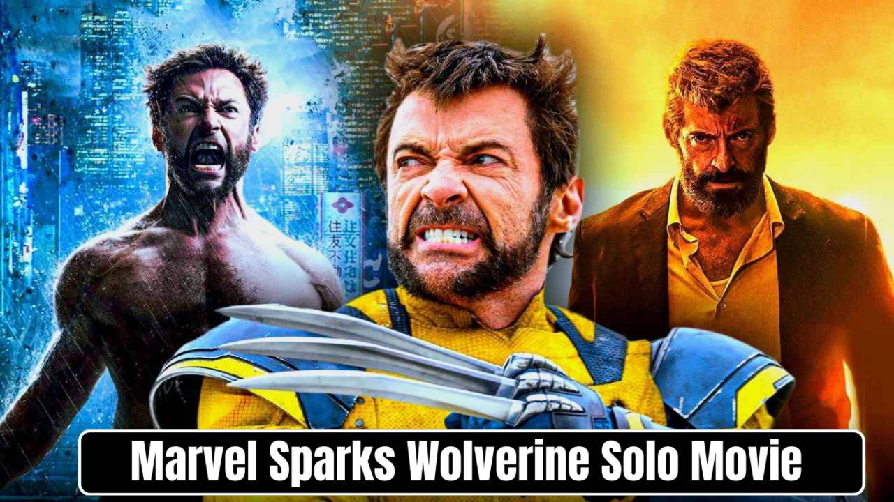Marvel Sparks Wolverine Solo Movie